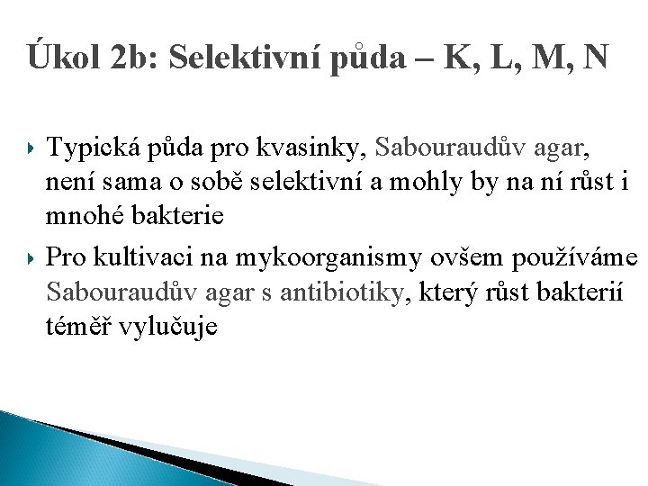 Úkol 2 b: Selektivní půda – K, L, M, N Typická půda pro kvasinky,