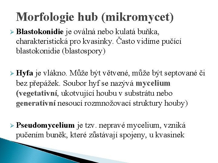 Morfologie hub (mikromycet) Ø Blastokonidie je oválná nebo kulatá buňka, charakteristická pro kvasinky. Často
