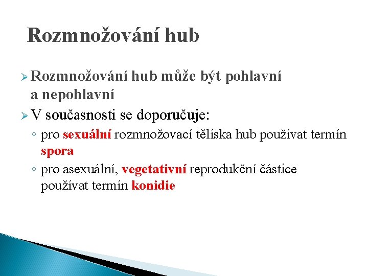 Rozmnožování hub Ø Rozmnožování hub může být pohlavní a nepohlavní Ø V současnosti se