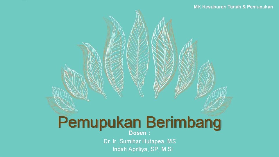 MK Kesuburan Tanah & Pemupukan Berimbang Dosen : Dr. Ir. Sumihar Hutapea, MS Indah