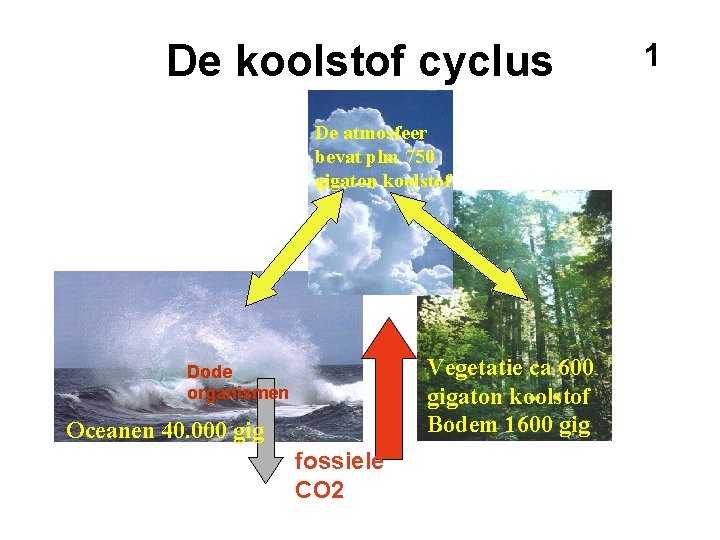 De koolstof cyclus De atmosfeer bevat plm 750 gigaton koolstof Vegetatie ca 600 gigaton