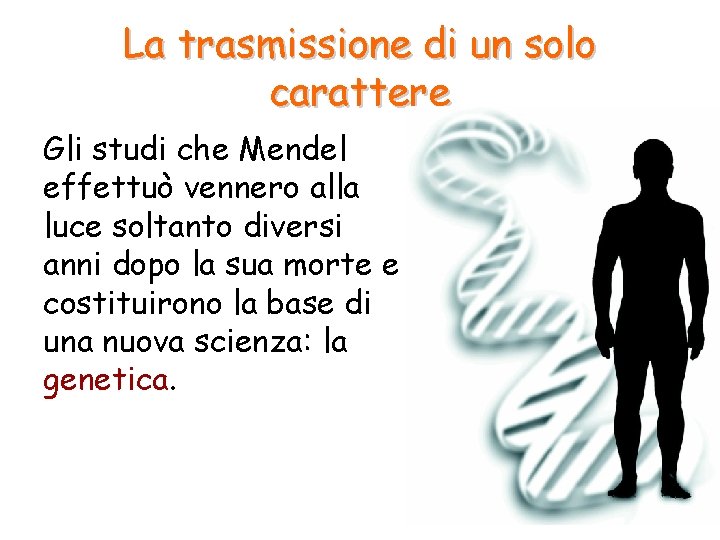 La trasmissione di un solo carattere Gli studi che Mendel effettuò vennero alla luce