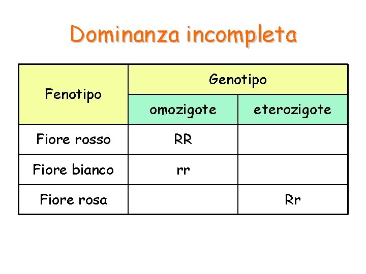 Dominanza incompleta Fenotipo Genotipo omozigote Fiore rosso RR Fiore bianco rr Fiore rosa eterozigote