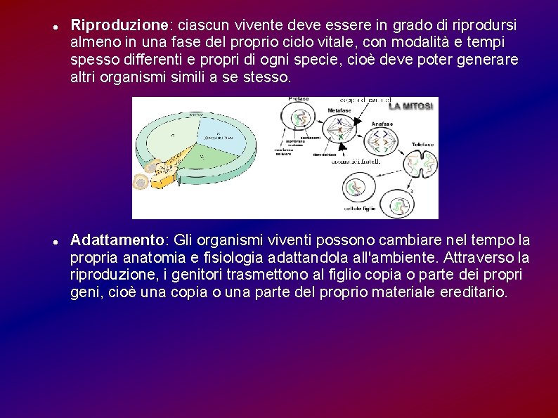  Riproduzione: ciascun vivente deve essere in grado di riprodursi almeno in una fase