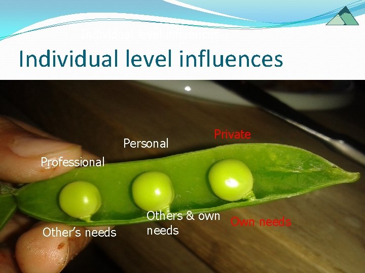 Individual level influences Personal Private Professional Other’s needs Others & own Own needs Individual level influences Personal Private Professional Other’s needs Others & own Own needs