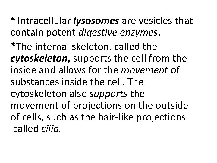 * Intracellular lysosomes are vesicles that contain potent digestive enzymes. *The internal skeleton, called