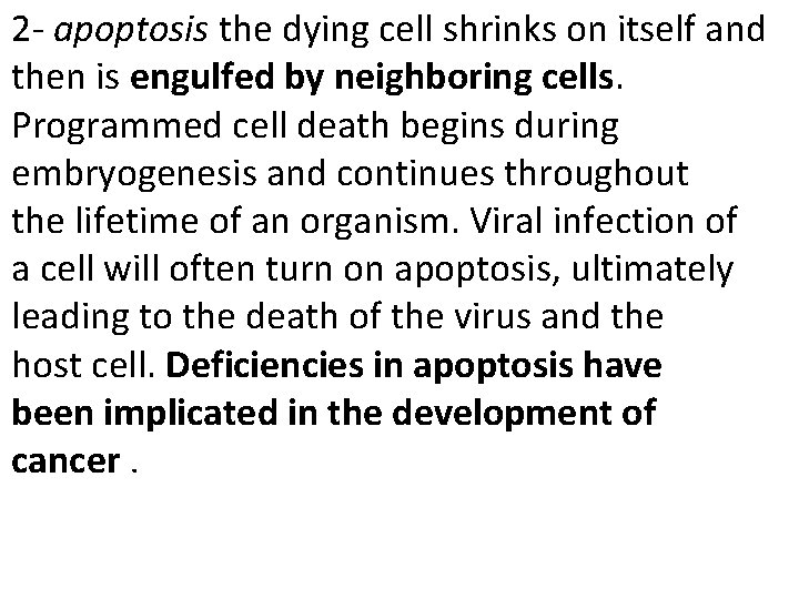 2 - apoptosis the dying cell shrinks on itself and then is engulfed by