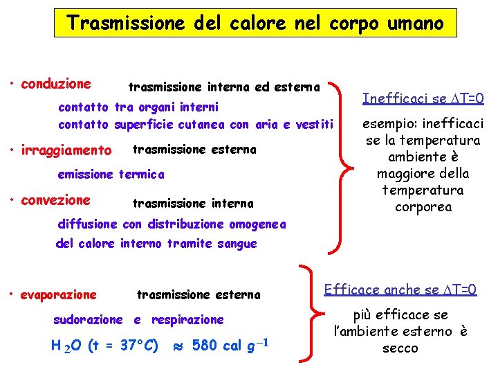 Trasmissione del calore nel corpo umano • conduzione trasmissione interna ed esterna contatto tra