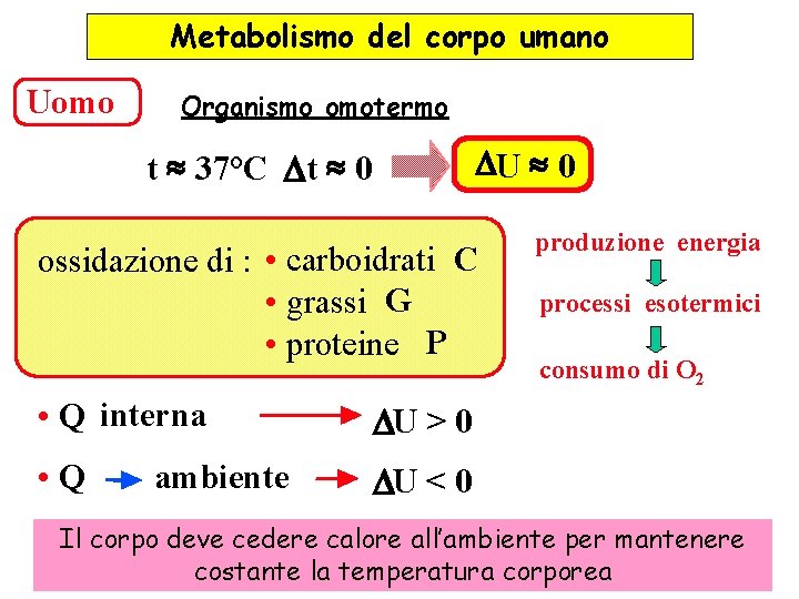 Metabolismo del corpo umano Uomo Organismo omotermo DU » 0 t » 37°C D