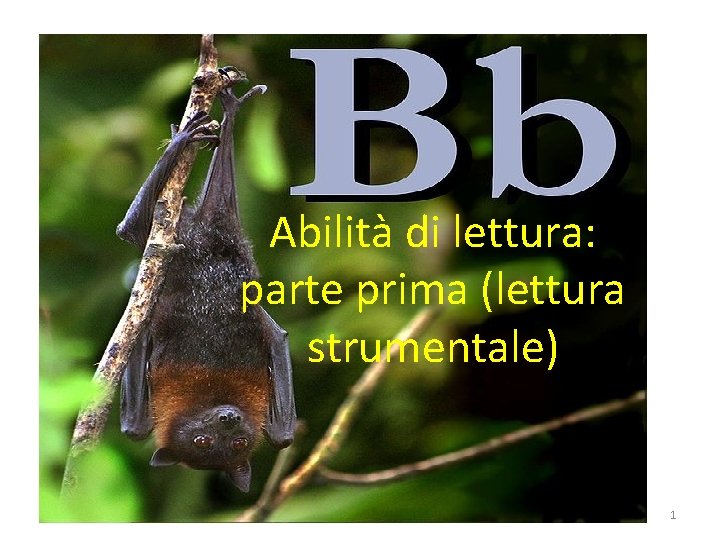 Abilità di lettura: parte prima (lettura strumentale) 1 