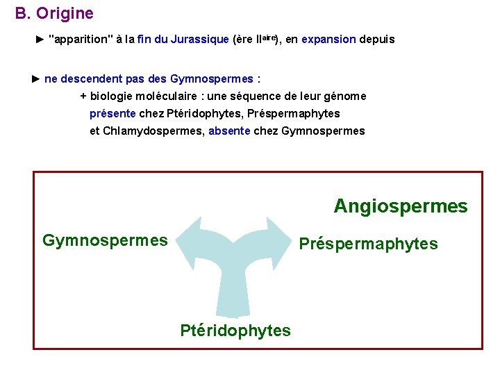 B. Origine ► "apparition" à la fin du Jurassique (ère IIaire), en expansion depuis B. Origine ► "apparition" à la fin du Jurassique (ère IIaire), en expansion depuis