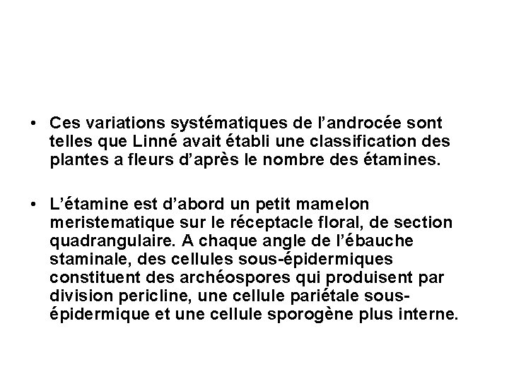 • Ces variations systématiques de l’androcée sont telles que Linné avait établi une • Ces variations systématiques de l’androcée sont telles que Linné avait établi une