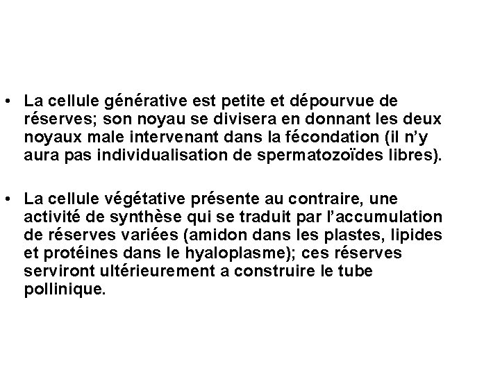 • La cellule générative est petite et dépourvue de réserves; son noyau se • La cellule générative est petite et dépourvue de réserves; son noyau se