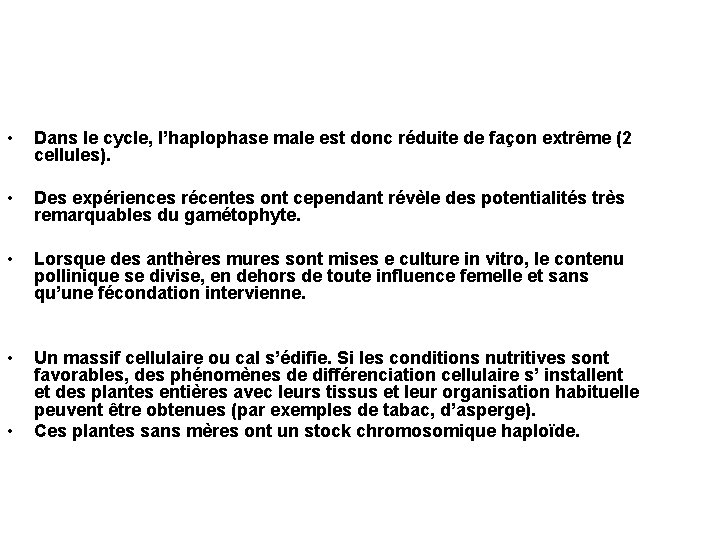 • Dans le cycle, l’haplophase male est donc réduite de façon extrême (2 • Dans le cycle, l’haplophase male est donc réduite de façon extrême (2