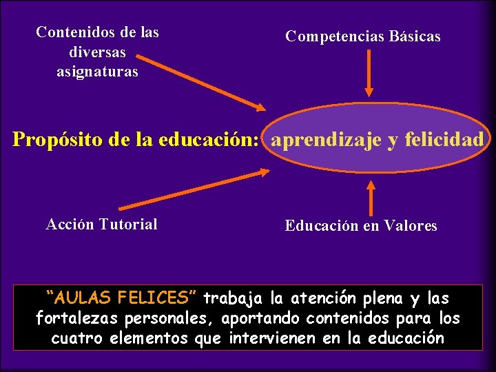 Contenidos de las diversas asignaturas Competencias Básicas Propósito de la educación: aprendizaje y felicidad