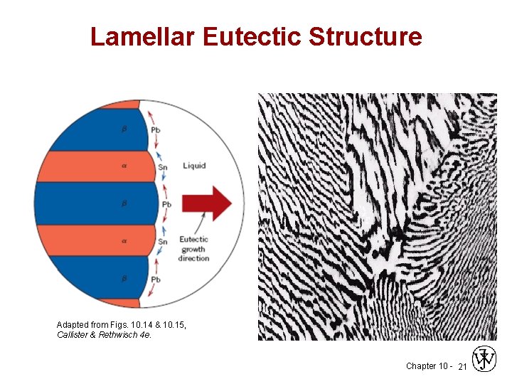 Lamellar Eutectic Structure Adapted from Figs. 10. 14 & 10. 15, Callister & Rethwisch Lamellar Eutectic Structure Adapted from Figs. 10. 14 & 10. 15, Callister & Rethwisch