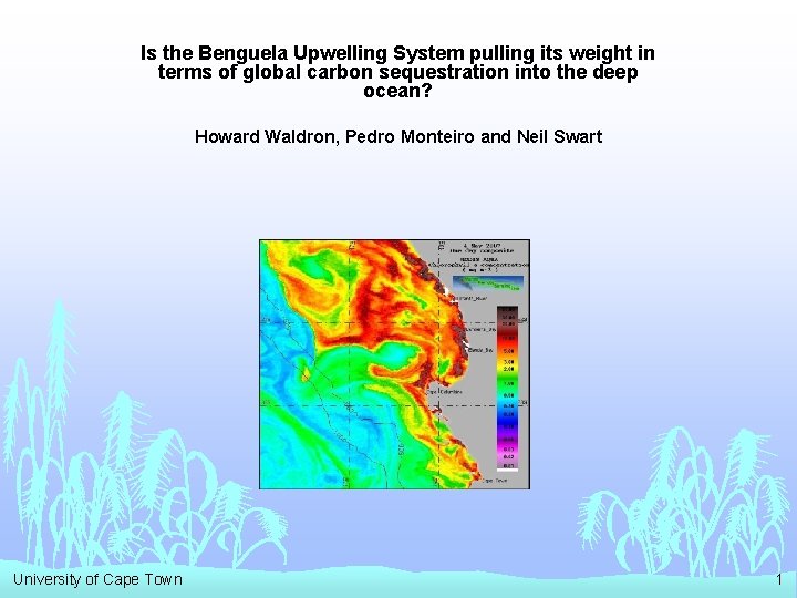 Is the Benguela Upwelling System pulling its weight in terms of global carbon sequestration