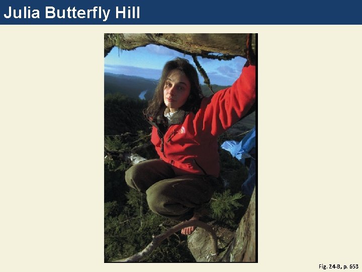 Julia Butterfly Hill Fig. 24 -B, p. 653 