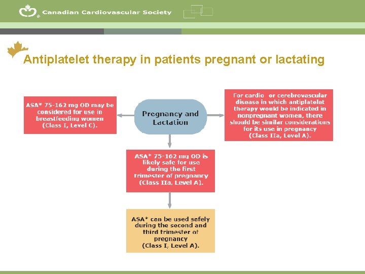 ® Antiplatelet therapy in patients pregnant or lactating 12 