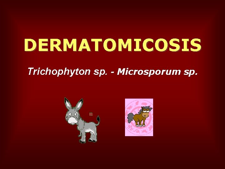 DERMATOMICOSIS Trichophyton sp. - Microsporum sp. 