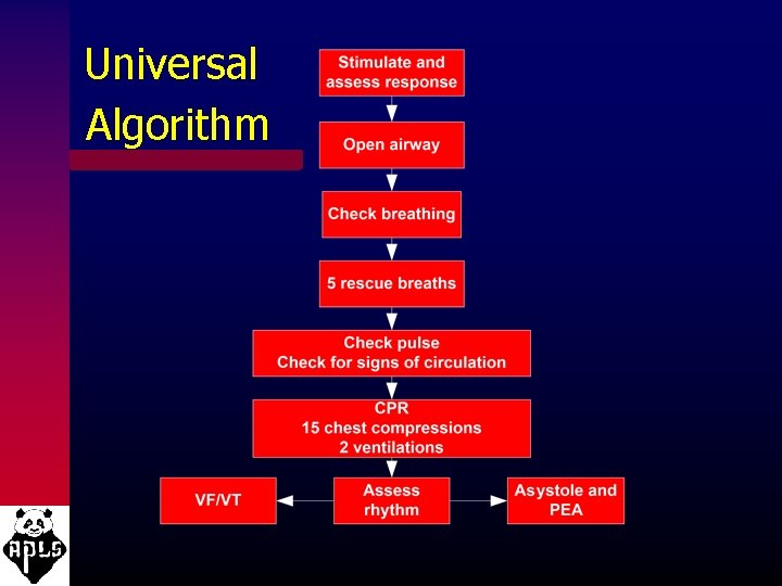 Universal Algorithm 