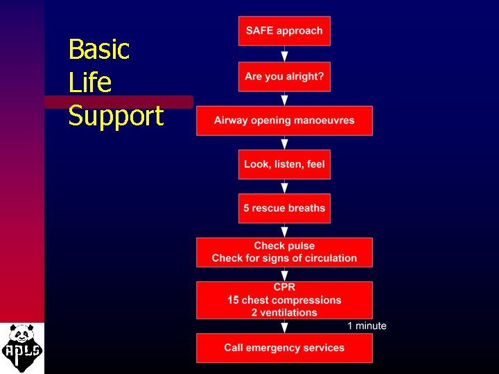Basic Life Support 