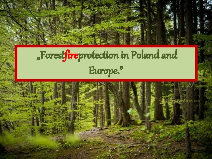  „Forestfireprotection in Poland Europe. ” 