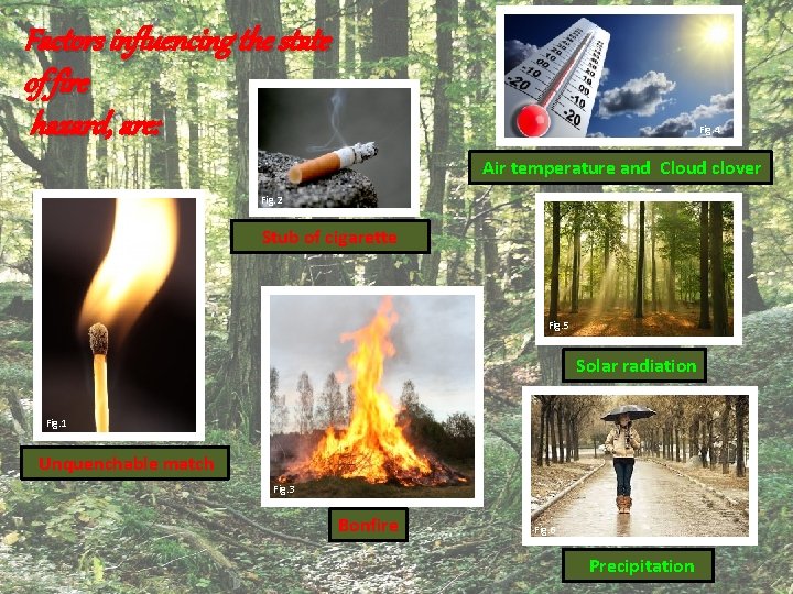 Factors influencing the state of fire hazard, are: Fig. 4 Air temperature and Cloud