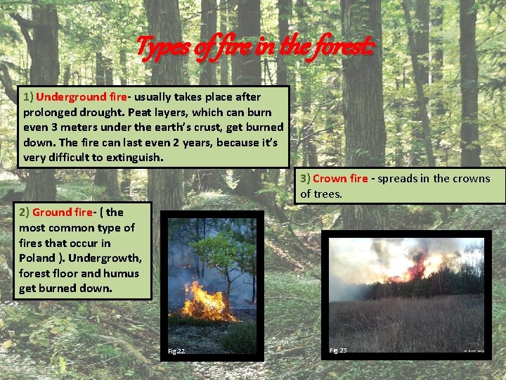 Types of fire in the forest: 1) Underground fire- usually takes place after prolonged