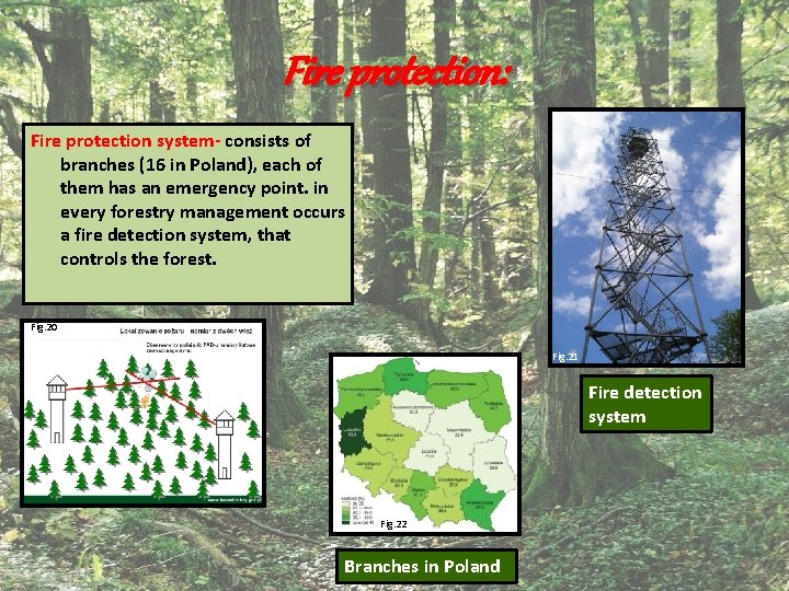 Fire protection: Fire protection system- consists of branches (16 in Poland), each of them