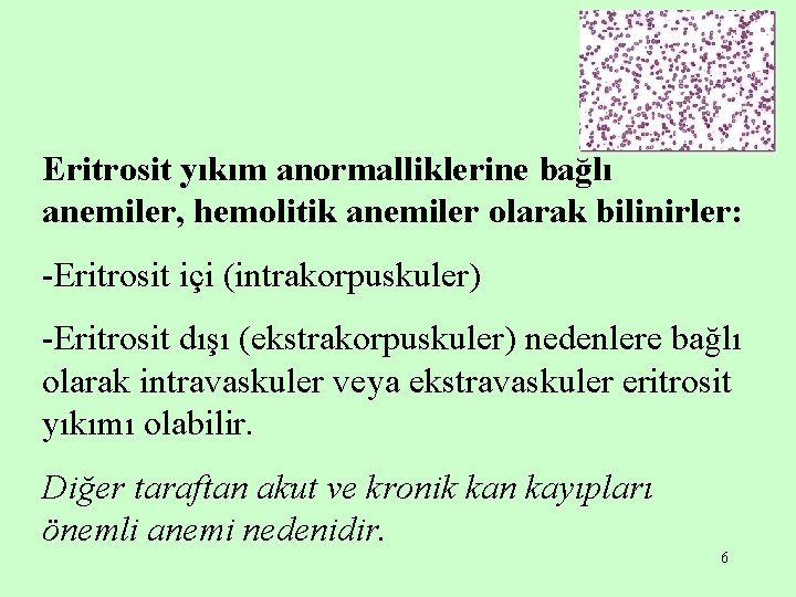 Eritrosit yıkım anormalliklerine bağlı anemiler, hemolitik anemiler olarak bilinirler: -Eritrosit içi (intrakorpuskuler) -Eritrosit dışı