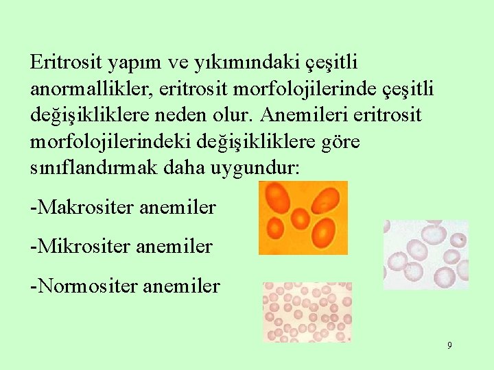 Eritrosit yapım ve yıkımındaki çeşitli anormallikler, eritrosit morfolojilerinde çeşitli değişikliklere neden olur. Anemileri eritrosit