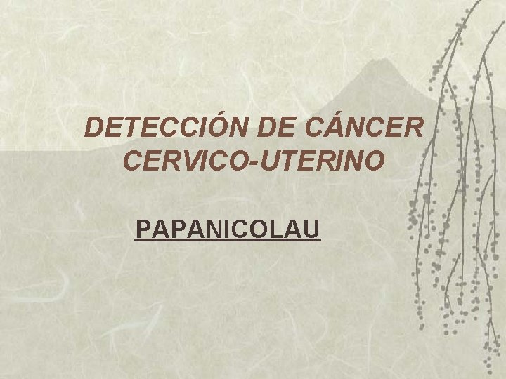 DETECCIÓN DE CÁNCER CERVICO-UTERINO PAPANICOLAU DETECCIÓN DE CÁNCER CERVICO-UTERINO PAPANICOLAU