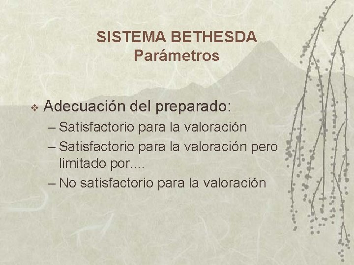 SISTEMA BETHESDA Parámetros v Adecuación del preparado: – Satisfactorio para la valoración pero limitado SISTEMA BETHESDA Parámetros v Adecuación del preparado: – Satisfactorio para la valoración pero limitado