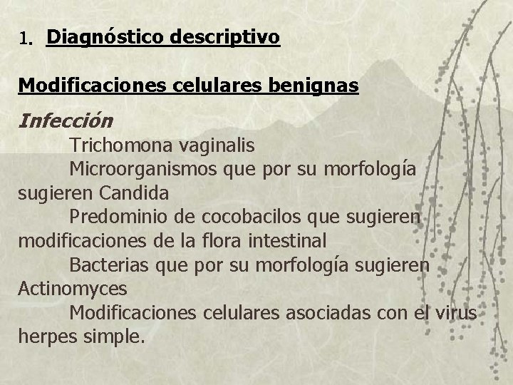 1. Diagnóstico descriptivo Modificaciones celulares benignas Infección Trichomona vaginalis Microorganismos que por su morfología 1. Diagnóstico descriptivo Modificaciones celulares benignas Infección Trichomona vaginalis Microorganismos que por su morfología