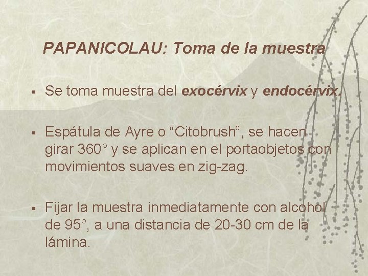 PAPANICOLAU: Toma de la muestra § Se toma muestra del exocérvix y endocérvix. § PAPANICOLAU: Toma de la muestra § Se toma muestra del exocérvix y endocérvix. §