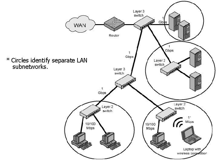 * Circles identify separate LAN subnetworks. 