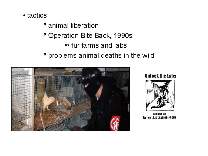  • tactics º animal liberation º Operation Bite Back, 1990 s ∞ fur