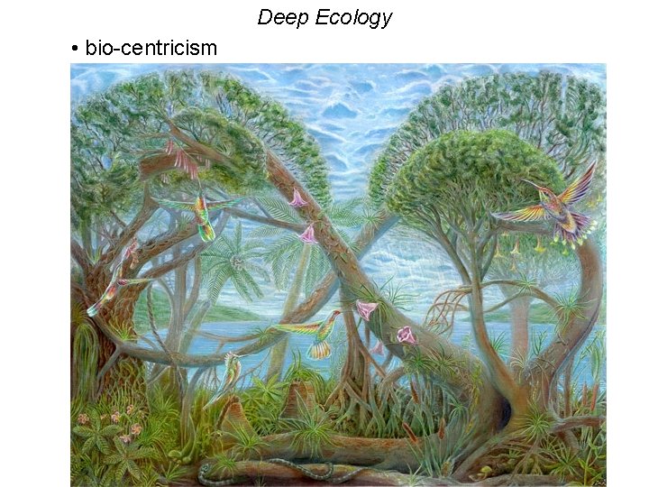 Deep Ecology • bio-centricism 
