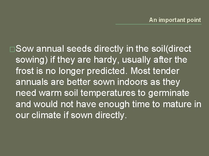 An important point �Sow annual seeds directly in the soil(direct sowing) if they are