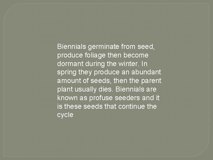 Biennials germinate from seed, produce foliage then become dormant during the winter. In spring