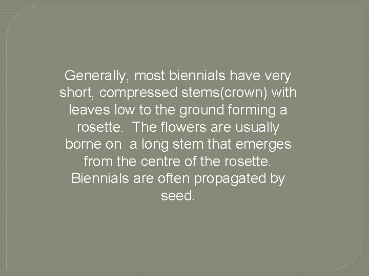 Generally, most biennials have very short, compressed stems(crown) with leaves low to the ground