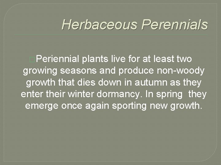 Herbaceous Perennials �Periennial plants live for at least two growing seasons and produce non-woody