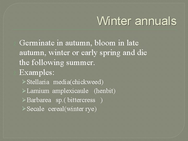 Winter annuals ž ž Germinate in autumn, bloom in late autumn, winter or early