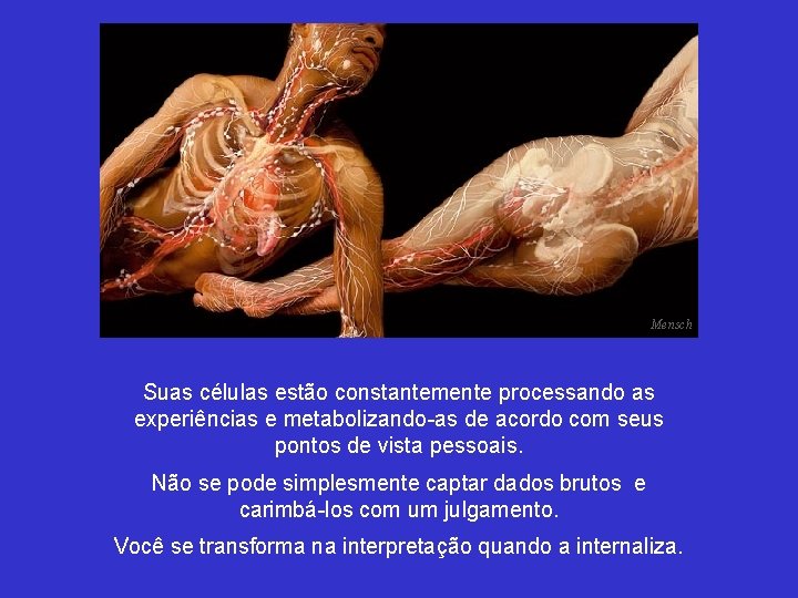 Mensch Suas células estão constantemente processando as experiências e metabolizando-as de acordo com seus