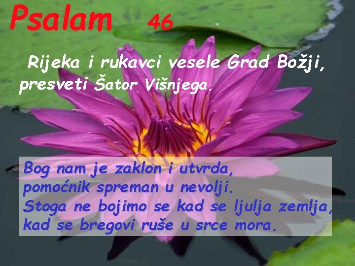 Psalam 46 Rijeka i rukavci vesele Grad Božji, presveti Šator Višnjega. Bog nam je