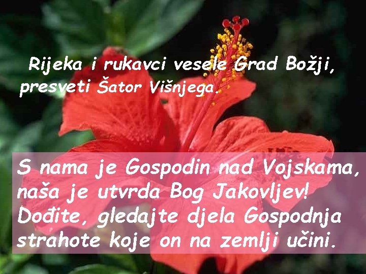 Rijeka i rukavci vesele Grad Božji, presveti Šator Višnjega. S nama je Gospodin nad