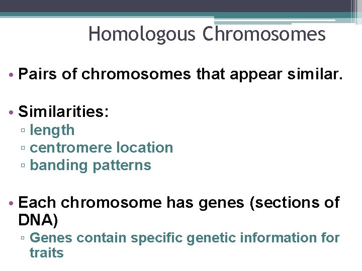 Homologous Chromosomes • Pairs of chromosomes that appear similar. • Similarities: ▫ length ▫