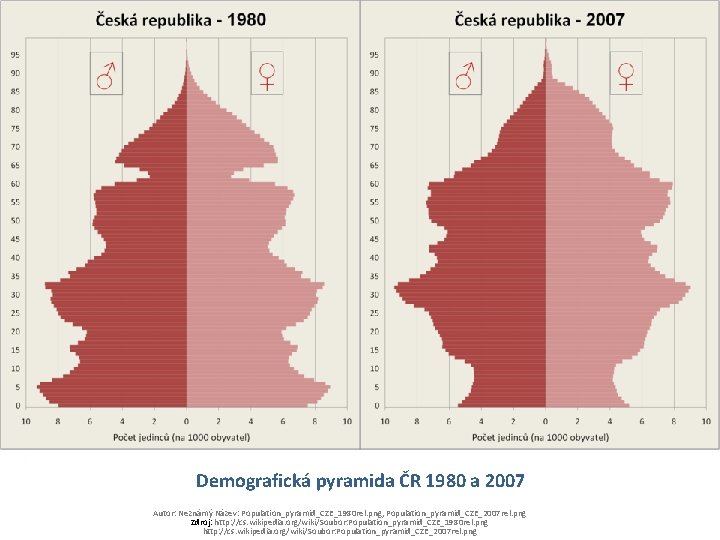 Demografická pyramida ČR 1980 a 2007 Autor: Neznámý Název: Population_pyramid_CZE_1980 rel. png, Population_pyramid_CZE_2007 rel. Demografická pyramida ČR 1980 a 2007 Autor: Neznámý Název: Population_pyramid_CZE_1980 rel. png, Population_pyramid_CZE_2007 rel.