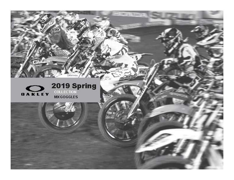 2019 Spring COLLECTION MX GOGGLES 